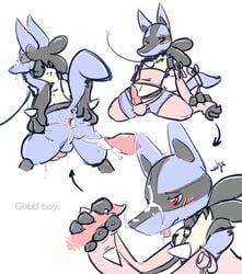 anus balls blush canine_penis closed_eyes collar crossdressing cum cum_in_ass cum_inside cum_on_face english_text erection gay handjob kneeling leash lucario male nintendo penis plain_background pokemon pokemon_(species) red_eyes shugowah sketch stockings text tongue tongue_out top