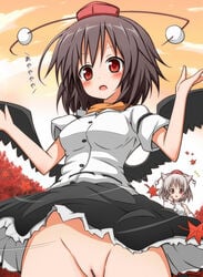 animal_ear brown_hair censored fur hat karamone-ze karamoneeze leaf momiji_inubashiri multiple_girls no_panties pointless_censoring pussy red_eyes shameimaru_aya short_hair skirt tokin_hat touhou white_hair wings wolf_ear