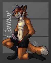 1boy anthro boxers briefs canine connor fox fur furry gothwolf holding looking_at_viewer male male_only penis pose solo underwear