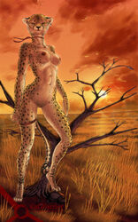 anthro breasts catwarrior cheetah female looking_at_viewer nude pussy solo standing