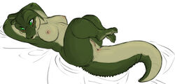 alligator anthro anus blush breasts chubby eyes female fgs green_eyes lizard lying nipples nude on_back pussy reptile ridges scalie sefeiren sketch solo tail