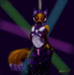 1boy 2011 anthro balls bulge canine ear_piercing fox fur furry girly hair light looking_at_viewer male male_only panties penis piercing pink pole purple purple_hair rave solo stockings stripper tail thong underwear undressing vates