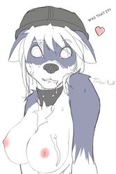 2011 anthro big_breasts biting_lip breasts canine collar cum female fur furry hat heart hi_res legendra looking_at_viewer nipples plain_background sketch solo sweat white_background