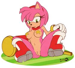 1girls 2011 amy_rose boots bottomless breasts daxzor female footwear fur furry furry_only hammer handwear hedgehog mostly_nude naked nude pasties piko_piko_hammer pose pussy sega solo sonic_(series) spread_legs spreading star t