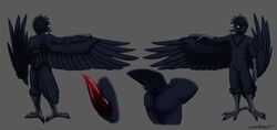 ass avian beak bird claws color erection feathers glasses hindpaw male model_sheet nude paws penis raven_(bird) sefeiren tail_feathers tailfeathers tamerlane tongue wings