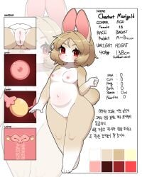 anthro beige_fur beige_hair bottom_view bunny_girl character_sheet description furry jupiter_europe lagomorph lagomorph_humanoid looking_at_viewer nude nude_female ovum red_eyes simple_background text translation_request white_background white_fur white_sclera x-ray