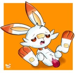 Pokemon (Species) Rule 34 Image