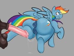 4:3 absurd_res animal_genitalia animal_penis animal_vulva anthro anus ass balls big_balls big_butt big_penis bite biting_lip blue_body blush bodily_fluids brown_balls duo equid equine equine_genitalia equine_penis equine_vulva female friendship_is_magic genital_fluids genitals greaseyhair hair hasbro hi_res hooves horse horsecock huge_balls huge_cock looking_back male male/female mammal multicolored_hair my_little_pony penis pink_penis pony rainbow_dash_(mlp) rainbow_hair red_eyes tail vulva wings