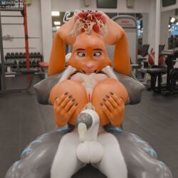 1:1 3d_(artwork) absurd_res after_anal after_sex anal anal_penetration anthro anus aquatic balls barbell barbell_piercing beach black_body black_skin bodily_fluids breasts brows building canid canine city claws clitoris cum cum_in_ass cum_inside cum_on_body cum_on_feet day diane_foxington digital_media_(artwork) dreamworks duo feet female fish foot_fetish fox full_nelson genital_fluids genitals green_eyes gym gym_equipment gynomorph hi_res humanoid_genitalia humanoid_penis intersex intersex/female light looking_pleasured mammal mirror n00b-body nika_sharkeh nipple_piercing nipples orange_body orange_skin pawpads penetration penis piercing sex shark sunlight teeth the_bad_guys vulva white_body white_skin