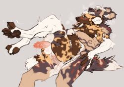 absurd_res african_wild_dog anal anal_sex balls bent_spoon_position black_nose blue_eyes blush bodily_fluids brown_body brown_fur canid canine clenched_teeth ear_piercing from_behind_position fur genital_fluids genitals hair hi_res hijen humanoid_genitalia humanoid_penis jaden_ribery leaking_precum male male/male mammal motion_lines nude pawpads paws penetration penis piercing precum precum_string sex simple_background tail teeth tongue tongue_out vanchesskoawd white_body white_fur white_hair
