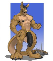 2026 3_toes accessory anthro balls bara beard big_balls big_penis black_beard black_claws black_facial_hair black_hair black_nipples black_penis city claws cock_ring facial_hair feet genitals gradient_background hair hi_res huge_balls huge_cock humanoid_genitalia humanoid_penis jewelry kangaroo looking_at_viewer macro macropod male mammal marsupial muscular nipple_piercing nipples penis penis_accessory penis_jewelry piercing seff_(dissimulated) simple_background smile solo tan_body toes vexedlupine white_background