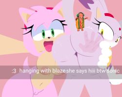 2girls accessory amy_rose anthro bent_over blaze_the_cat bracelet breasts butt_lick clothing domestic_cat duo emoji emoji_description eulipotyphlan eyelashes felid feline felis female female/female forehead_gem gem genitals gloves green_eyes hair hair_accessory hairband handwear hedgehog hi_res jewelry licking looking_back mammal nude nude_female open_mouth orange_eyes pink_body ponytail purple_body sega selfie slap_mark sonic_(series) sonic_the_hedgehog_(series) spanked_butt tail thesunkern tongue tongue_out vulva yuri