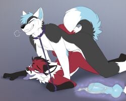 2025 5:4 anal anal_sex animal_genitalia animal_penis anthro blue_hair blue_penis bodily_fluids canid canine canine_genitalia canine_penis canis closed_eyes collar cum duo fox fur genital_fluids genitals gradient_background grey_background grey_body grey_fur hair hi_res internal jailbird knot male male/male mammal open_mouth penetration penis red_body simple_background tongue tongue_out white_body white_fur wolf zoru