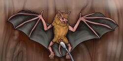 2026 5_fingers 5_toes absurd_res against_surface anatomically_correct anatomically_correct_anus anatomically_correct_genitalia anatomically_correct_vulva animal_genitalia animal_vulva anus barely_visible_anus bat bat_ears bat_nose bat_tail bat_wings betlv big_ears black_membrane black_wings brown_eyes chiropteran_genitalia chiropteran_vulva claws cotton_swab digital_drawing_(artwork) digital_media_(artwork) fangs feet female female_feral feral fingers forehead_tuft front_view fur furniture gaping gaping_vagina genitals hair head_tuft hi_res high-angle_view improvised_sex_toy inspection looking_at_object looking_down looking_down_at_object lying mammal membrane_(anatomy) membranous_wings neck_tuft nude on_back open_mouth pink_arms pink_feet pink_legs pink_vulva plantigrade pubes realistic_feral shaded simple_background solo solo_focus spread_wings table tail tail_membrane tan_body tan_fur teeth toes tongue tragus tricolored_bat tuft vulva winged_arms wings wood wood_furniture wood_table