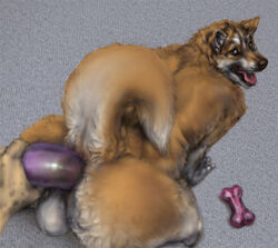 anakuro anal anal_insertion anal_sex anus ass balls blue_eyes bone canine chubby curled_tail cute dildo feral from_behind gay husky insertion lynx male manuel mischa nude open_mouth orange panting penetration purple_dildo sex_toy smile spots tail tongue tongue_out toy