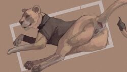 Booru post from rule34.xxx