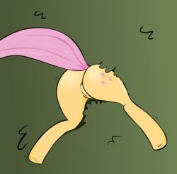 anus equine female female_only feral fluttershy_(mlp) friendship_is_magic my_little_pony nude pink_hair pussy solo tagme tail zev