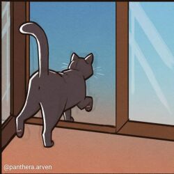 1:1 ambiguous_gender anus comic domestic_cat door felid feline felis feral hi_res leo_(panthera_arven) mammal panthera_arven quadruped raised_tail solo tail walking whiskers