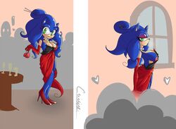 sonic the hedgehog from sega by cuisine
