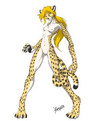 amber_eyes anthro blonde_hair breasts cheetah feline female fur furry hair navel nude ponytail pussy small_breasts solo spots tail tied_hair yamavu