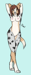 anthro blue_eyes breasts brown_hair canine corgii female fur furry hair looking_at_viewer nude pixel pussy raised_arm solo standing