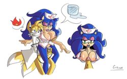 sonic the hedgehog from sega by cuisine