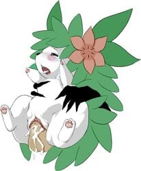 anthro cum cum_in_pussy cum_inside darkrai female feral from_behind male penis photoshop pokémon_(species) pokemon pokemon_(species) pokemon_dppt pokephilia pussy sex shaymin shaymin_(land_form) stomach_bulge straight straight_hair tears uncensored