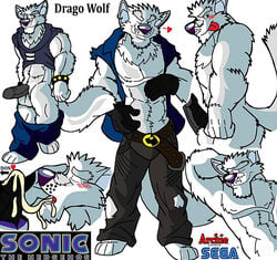 archie_comics drago_wolf male_only sonic_(series) tagme