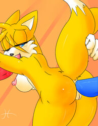 anal anal_insertion anal_juice anal_juice_trail anthro anus_juice ass ass_juice beige_fur bent_over black_nose blue_eyes breasts buggery color echidna fellatio female fox fur furry furry_ass furry_breasts furry_ears furry_tail genderswap genderswap_(mtf) gloves hedgehog hguy44 insertion interspecies knuckles_the_echidna male multiple_males multiple_tails nipples nude oral oral_insertion orange_fur penis pink_nipples pleasure_face pointy_ears raised_tail rule_63 saliva_drip saliva_trail sex side_view sonic_(series) sonic_the_hedgehog sonic_the_hedgehog_(series) straight tail tail_grab tails tailsko threesome tight_anal vulva wink