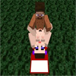 1boy 1boy1girl 1girls 3d artist_request breasts character commission cubic_breasts erection legs_up looking_at_another looking_at_partner mine-imator minecraft missionary_position outside spread_legs steve_(minecraft) tagme vaginal_penetration