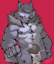 anthro bulge canine clothing e-w01f male male_only mammal muscular underwear