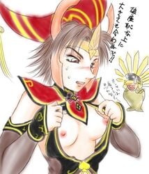 1girls da_ji ginchiyo_tachibana hideyoshi_toyotomi sengoku_musou warriors_orochi