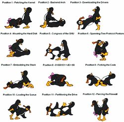 1boy 1girl 1girls 69 anal arch_position bowtie braided_hair cowgirl_position doggy_style fellatio from_behind linux missionary missionary_position multiple_poses multiple_positions oral orange_hair penguin penguins pun puns scissoring simple_background tagme text tux_the_penguin vaginal wheelbarrow_position white_background