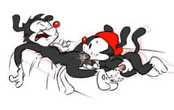 animaniacs balls cum fellatio furry furry_only gay hat ishoka male no_humans oral oral_sex original_character penis sex sleeping wakko_warner