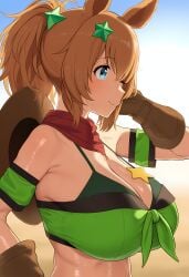 1girls animal_ears bangs bare_shoulders big_breasts blue_eyes breasts brown_gloves brown_hair cleavage closed_mouth gloves hair_ornament huge_breasts large_breasts necklace ponytail smile solo star_(symbol) star_hair_ornament swimsuit taiki_shuttle_(umamusume) tail umamusume umamusume_pretty_derby upper_body
