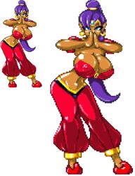 1girls alternate_breast_size arabian_clothes belly_dancer bimbo blue_eyes breasts casetermk dark_skin erect_nipples genie harem_outfit hoop_earrings huge_boobs nipples pixel_art purple_hair shantae shantae_(character) smooth_skin transparent_background