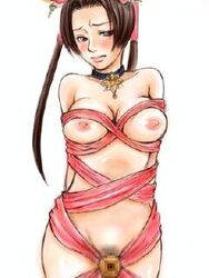 diao_chan dynasty_warriors female female_only human solo tagme