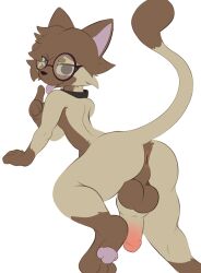 anthro backsack balls collar domestic_cat drawobun eyewear felid feline felis genitals glasses hi_res jymboh male mammal penis raised_tail siamese solo tail tongue tongue_out