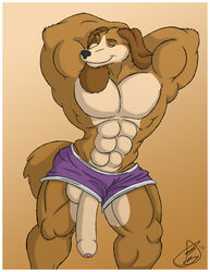 anthro aramis brown_fur canine dog dogtanian_and_the_three_muskehounds furry furry_only juano male male_only muscles muscular muscular_male no_humans penis