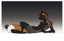 2026 animal_genitalia anthro arm_tuft blush canid canine chest_tuft claws dashwood_fox digital_media_(artwork) dipstick_tail elbow_tuft ershd fox fur genitals gradient_background hair hi_res male male_only mammal markings multicolored_body multicolored_fur nude nude_anthro nude_male orange_eyes pawpads paws penis penis_tip pointy_ears prick_ears reclining red_fox sheath simple_background solo tail tail_markings toe_claws true_fox tuft