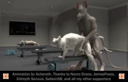 anal anal_penetration anal_sex animated bent_over furry furry_male furry_only gay gay_anal gay_domination gay_male gay_sex gif gym male/male male_only male_penetrating_male masturbation public public_nudity public_sex rat stroking stroking_cock stroking_penis working_out
