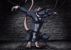 2017 absurd_res anthro balls bdsm black_harness blindfold bodily_fluids bondage bound chain chained chastity_cage chastity_device crouching cuff_(restraint) dated drooling frogtied front_view fur genitals grey_balls grey_body grey_fur harness hi_res hufnaar inside legs_tied male male_anthro mammal murid murine nipple_piercing nipple_ring nipple_weights nipples nude obscured_eyes piercing pink_tail rat restraints ring_piercing rodent saliva slim_anthro slim_male solo tail tube_in_mouth wearing_chastity_cage wearing_chastity_device wrist_cuffs
