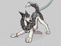 affairy ass_up black_body black_fur bodily_fluids border_collie canid canine canis clover_(plant) clover_leaf collie cum cum_in_vagina cum_inflation cum_inside digital_drawing_(artwork) digital_media_(artwork) domestic_dog ears_back eye_roll female female_penetrated feral fitness_tracker four_leaf_clover fur genital_fluids happy heart_(marking) herding_dog hi_res hikleloveshiking inflation leaf looking_pleasured looking_up mammal markings multicolored_body multicolored_fur pastoral_dog penetration pivoted_ears plant raised_tail sex sheepdog simple_background smile solo solo_focus tail teeth teeth_showing tentacle_in_vagina tentacle_penetration tentacle_sex tentacles vaginal vaginal_penetration white_body white_fur