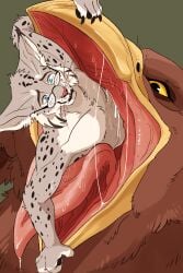 2021 anthro avian bodily_fluids claws duo eyewear felid feline fluffy glasses hi_res lynx male male/male mammal open_mouth oral_vore saliva spots swampjaws synx_(synxthelynx) tongue vore