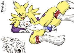 anthro breasts color digimon female fur furry furry_breasts furry_tail insertion male masturbation nipples nude renamon tagme tail vaginal_insertion vulva zenmigawa