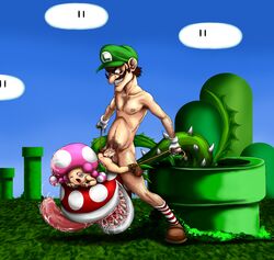 artist_request bottomless bruise closed_eyes cosplay female luigi_(cosplay) male mario_(series) nintendo nude open_mouth piranha_plant rape rape_face saliva super_mario_bros. tear toadette veiny_penis waluigi warp_pipe