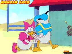 angry_sex animated avian avians beach bird bottomless daisy_duck disney donald_duck duck fellatio high_heels lips lips_(artist) lowres outdoors penis soft_feathers tagme testicles white_feathers white_fur