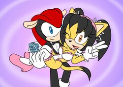 1boy 1boy1girl 1girls anthro armadillo big_breasts cat catgirl cleavage feline female furry honey_the_cat lingerie male mighty_the_armadillo mobian mobian_cat sega sonic_(series) sonic_the_fighters sonicguru tuxedo wedding wedding_lingerie wedding_ring white_lingerie