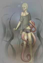 draco_malfoy harry_potter male tagme tentacle tentacle_on_male