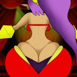 shantae (character) from shantae by curvydoodles